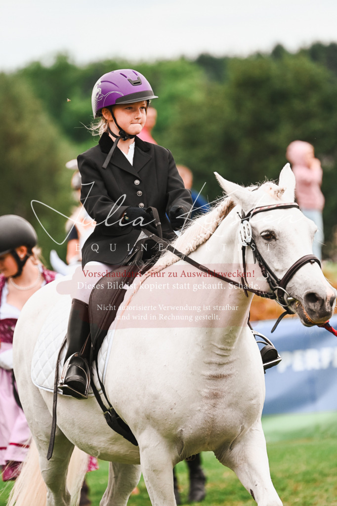 DSC_7424 | Pferde- und Turnierfotografie in Westsachsen. Pferdeportraits, Auftragszeichnungen und intuitive Kunst.