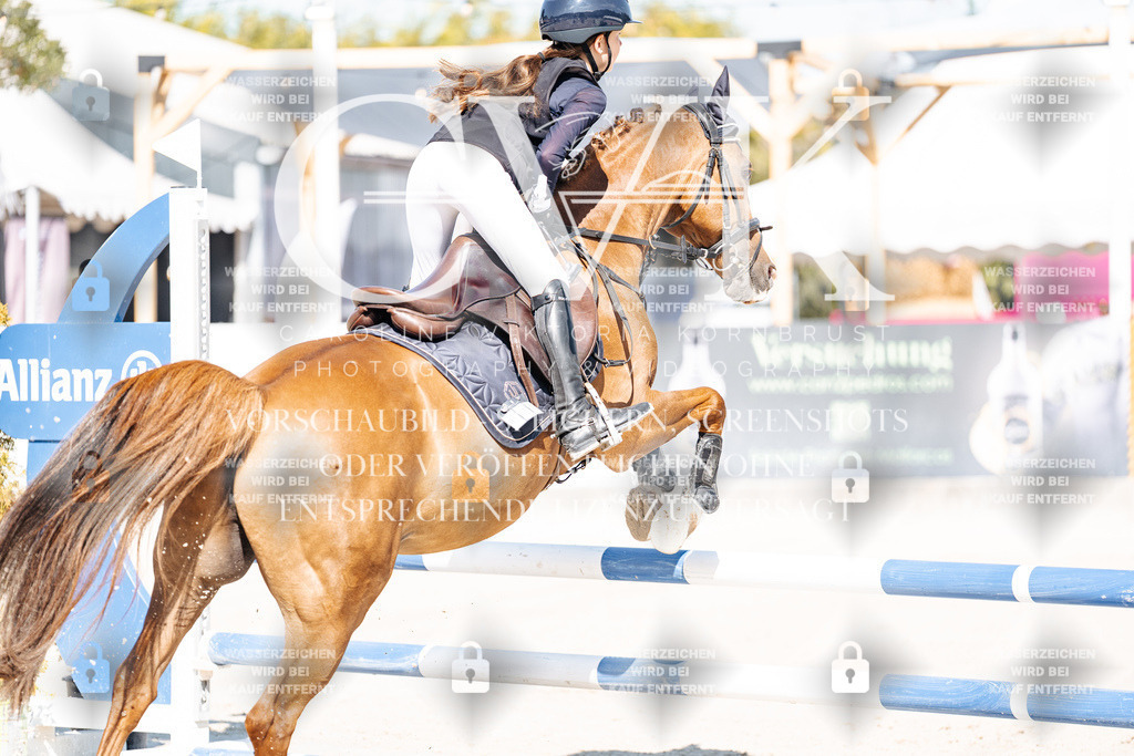 CK905169 | Turnierfotografie Pferdefotografie Trier Rheinland-Pfalz Pferdesport Reitsport Tierfotografie Sportfotografie Pferdevideo Pferdevideografie Equestrianvideography equestrianphotography  - Realisiert mit Pictrs.com