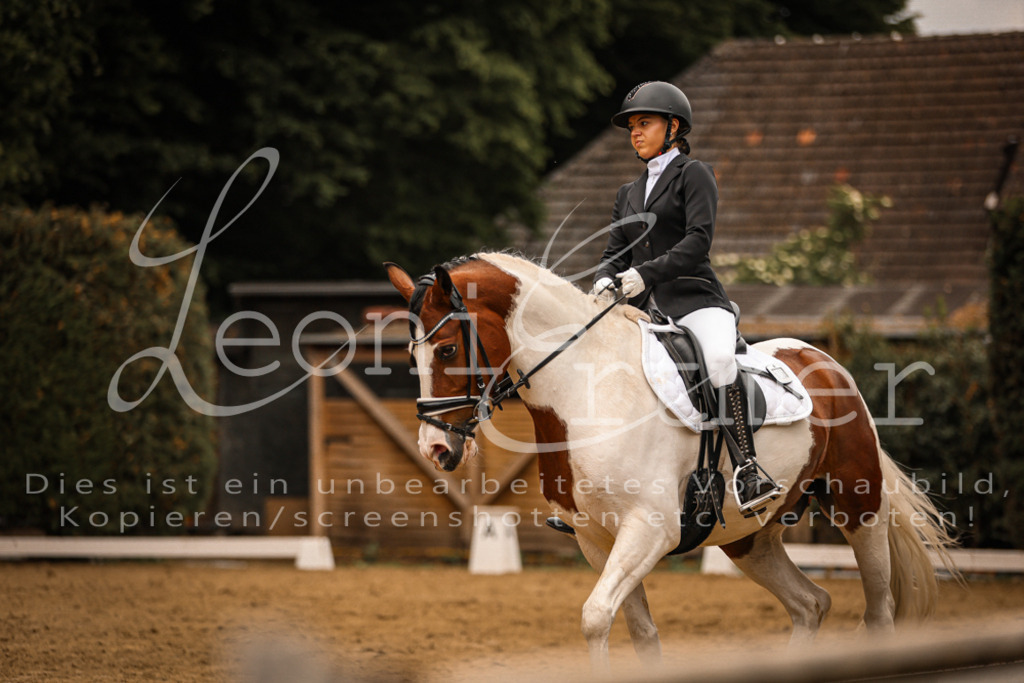 DoDrE00192 | Leoni Ertmer Photography - Realisiert mit Pictrs.com