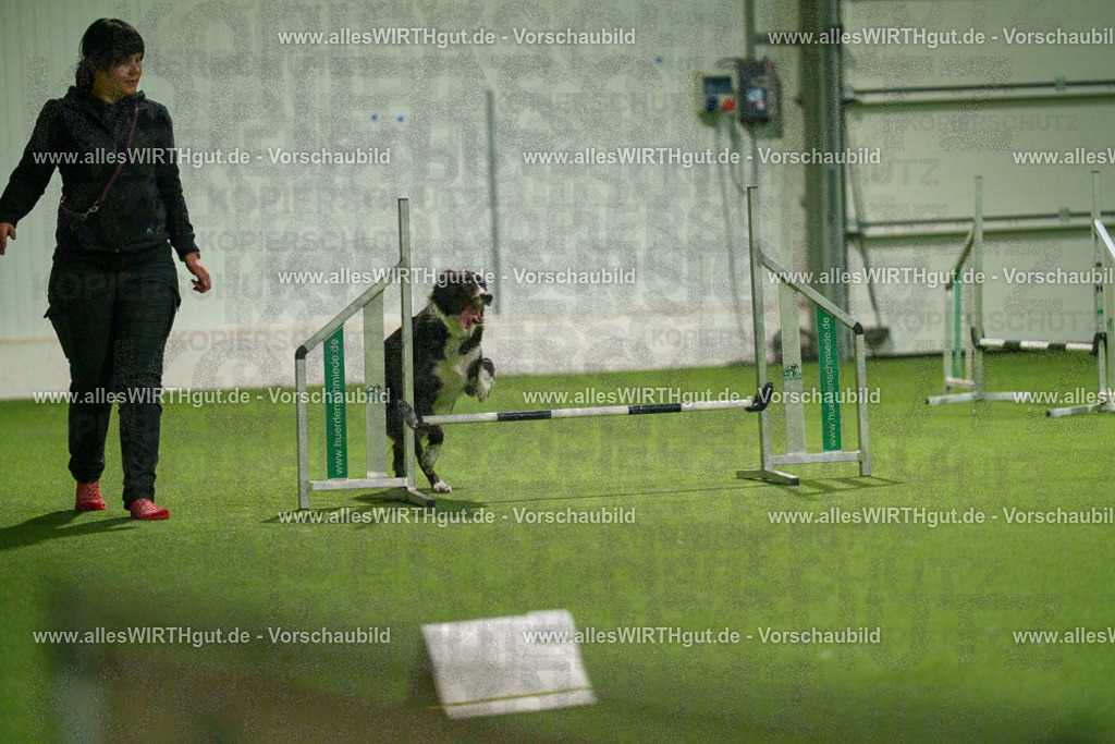 7R507319 | Professionelle Tierfotografie in Mönchengladbach von Daniel Wirth (allesWIRTHgut). Liebevolle & natürliche Bilder von Hunden & Katzen für unvergessliche Erinnerungen.