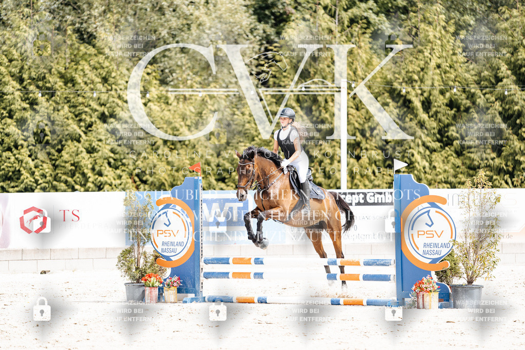 CK906713 | Turnierfotografie Pferdefotografie Trier Rheinland-Pfalz Pferdesport Reitsport Tierfotografie Sportfotografie Pferdevideo Pferdevideografie Equestrianvideography equestrianphotography  - Realisiert mit Pictrs.com