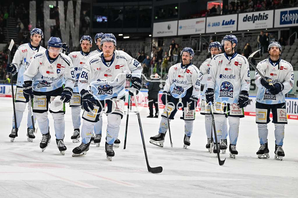 Augsburger Panther - Straubing Tigers | Augsburg, DEUTSCHLAND - 14. NOVEMBER: die Spieler der Tigers bedanken sich bei den mitgereisten Fans nach dem Auswärtssieg in Augsburg nach dem Ligaspiel zwischen den Augsburger Panthern und den Straubing Tigers am 18. Spieltag der Penny DEL im Curt Frenzel Stadion am 14.11.2025 / Feiern / Wade ALLISON (Straubing Tigers 88)