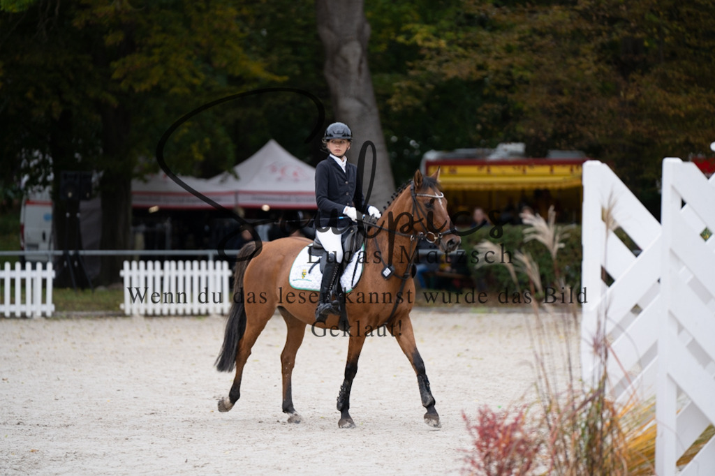 A7V07639 | Pferdefotograf