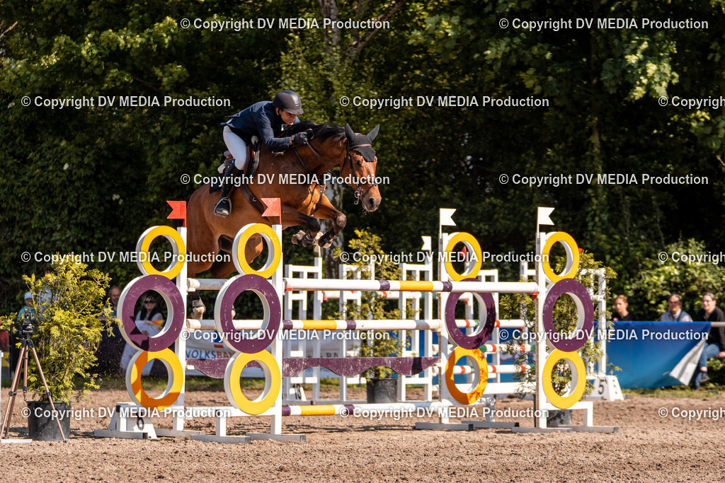 Eppelheim Tag 3-876 | dv-media-shop - Realisiert mit Pictrs.com