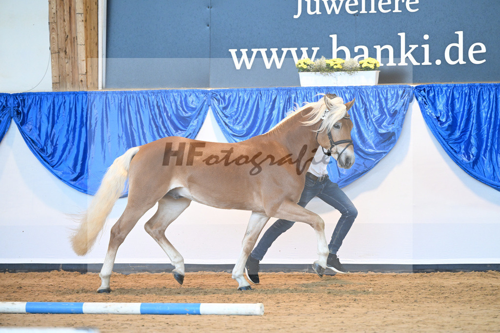 Kat-Nr. 35 Whisky Coke v. Wyno_Mayer_60220903 | hf-fotografie - Realisiert mit Pictrs.com