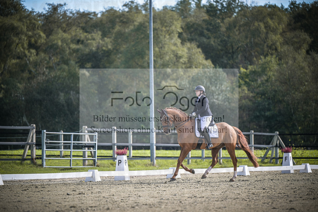 DOS_1264 | Entdecke hochwertige Reitturnierfotos von Foto Oger. Professionell, emotional und authentisch – jetzt Lieblingsmomente im Shop bestellen.Deutschlandweite Turnierfotografie. - Realisiert mit Pictrs.com