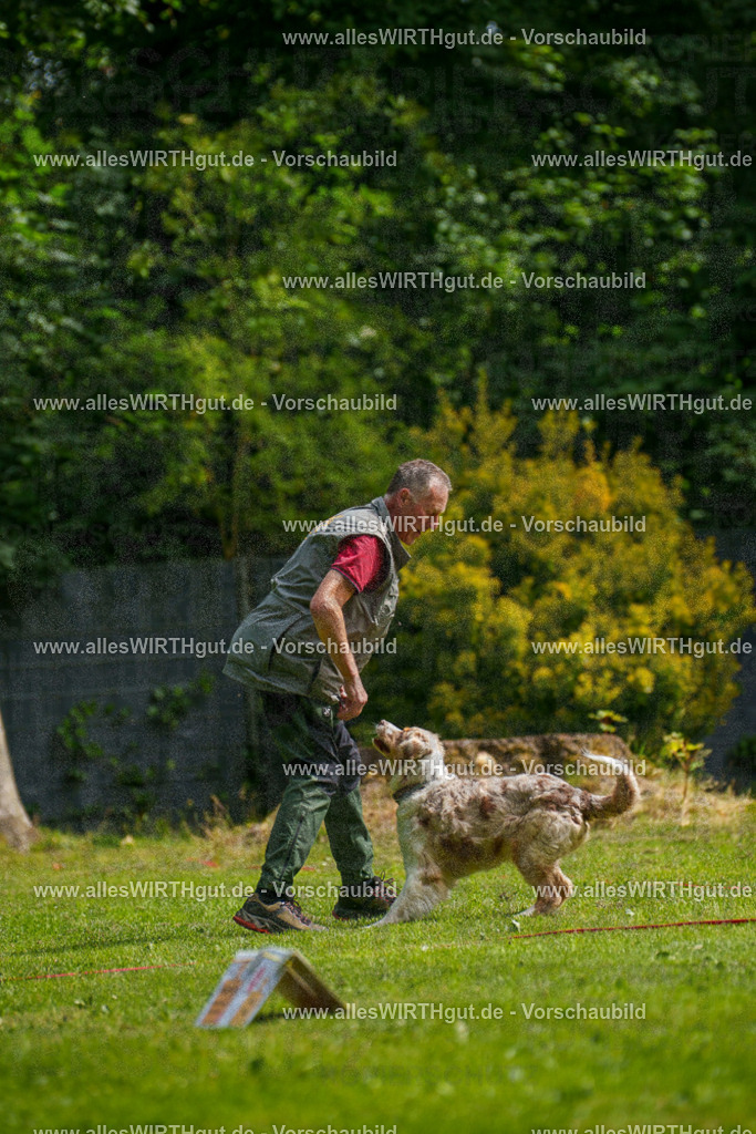 @allesWIRTHgut_Tierfotografie - www.allesWIRTHgut.de - 100232-7R507996 | Professionelle Tierfotografie in Mönchengladbach von Daniel Wirth (allesWIRTHgut). Liebevolle & natürliche Bilder von Hunden & Katzen für unvergessliche Erinnerungen.