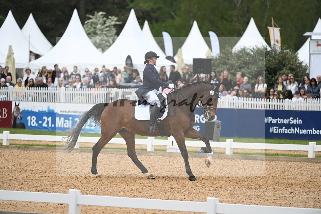 Zahn_Goldstueck_11233494 | hf-fotografie - Realisiert mit Pictrs.com