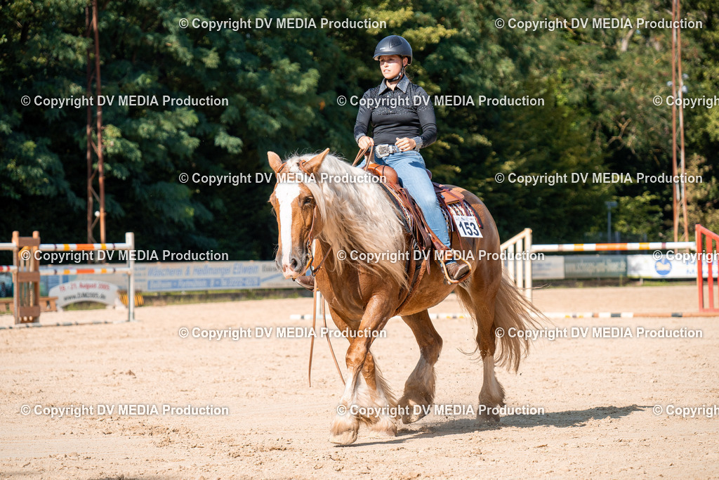 ZH100743 | dv-media-shop - Realisiert mit Pictrs.com