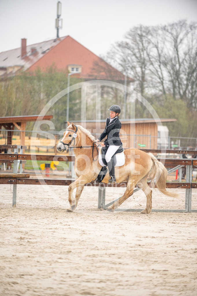 DSC_4142 | sattelsport - Realisiert mit Pictrs.com