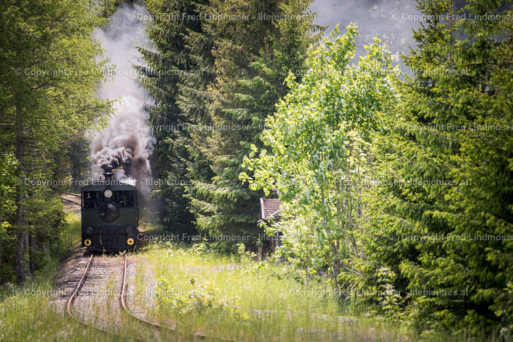 Erlaufsee Ausflugsschiff Fleissner-1438 | Fotos und Fotoprodukte - Realisiert mit Pictrs.com