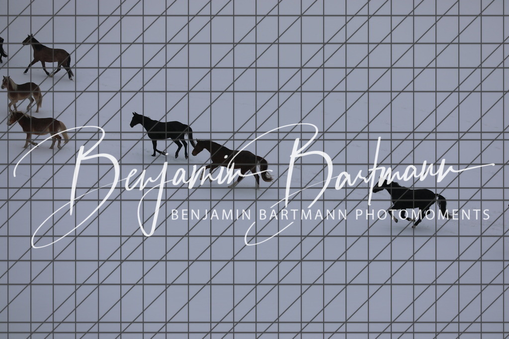 AZ2A3417 | Benjamin Bartmann Photomoments