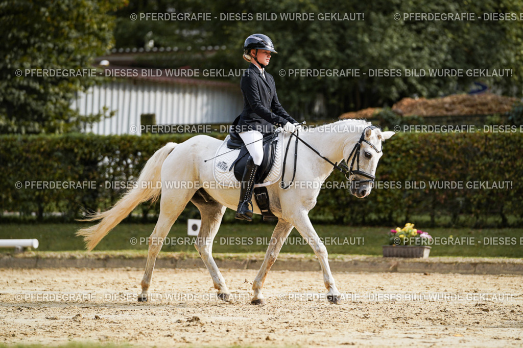 DSC04519 | Pferdegrafie