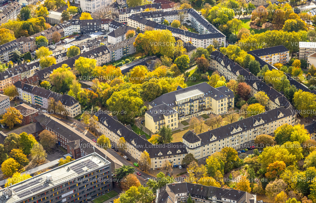 Essen251003334Mitte | Luftbild, Wohnsiedlung Bärendelle mit herbstlichen Bäumen, Frohnhausen, Essen, Ruhrgebiet, Nordrhein-Westfalen, Deutschland
