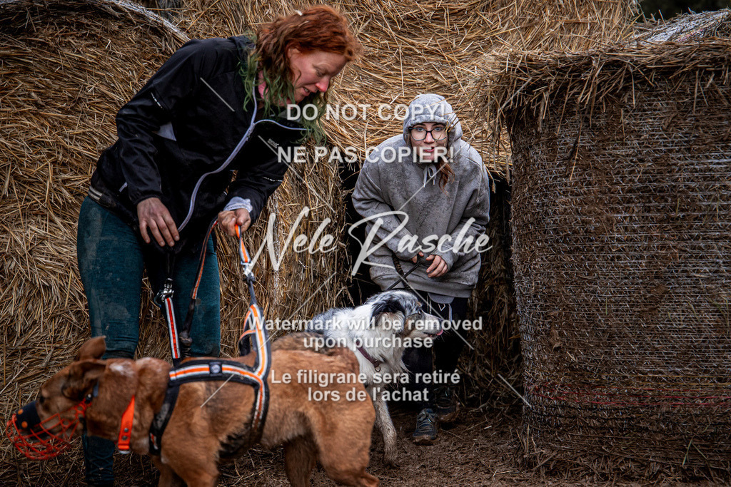 nelerasche_Hunsrück_So09-11_302 | nelerasche