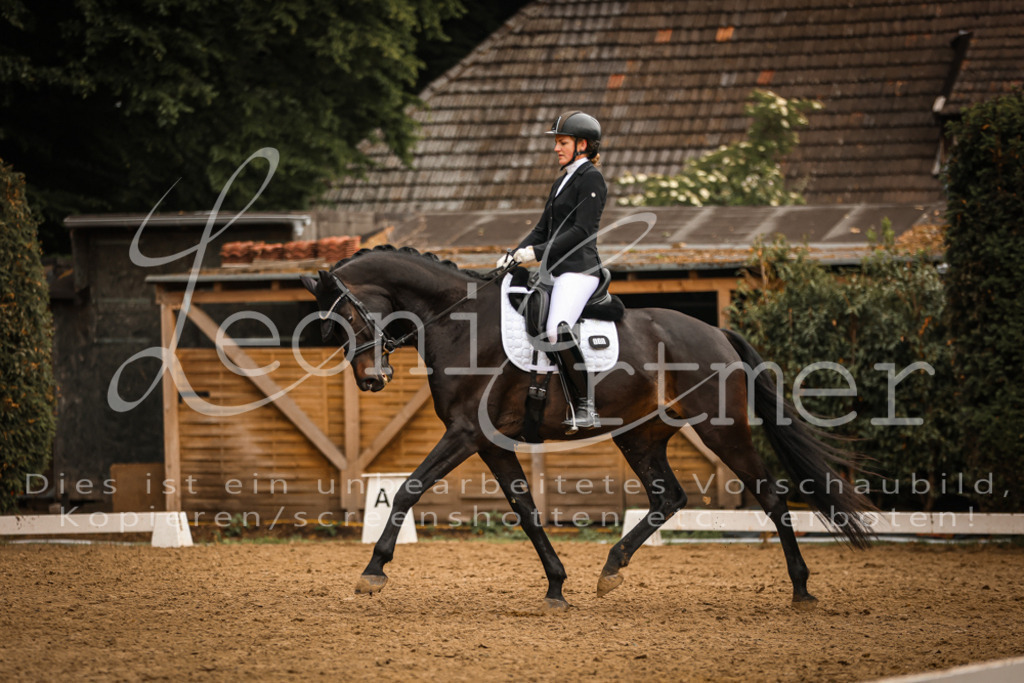 DoDrA200079 | Leoni Ertmer Photography - Realisiert mit Pictrs.com