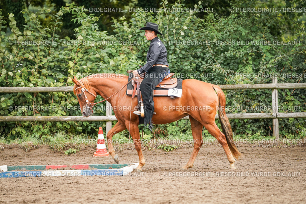 DSC03539 | Pferdegrafie