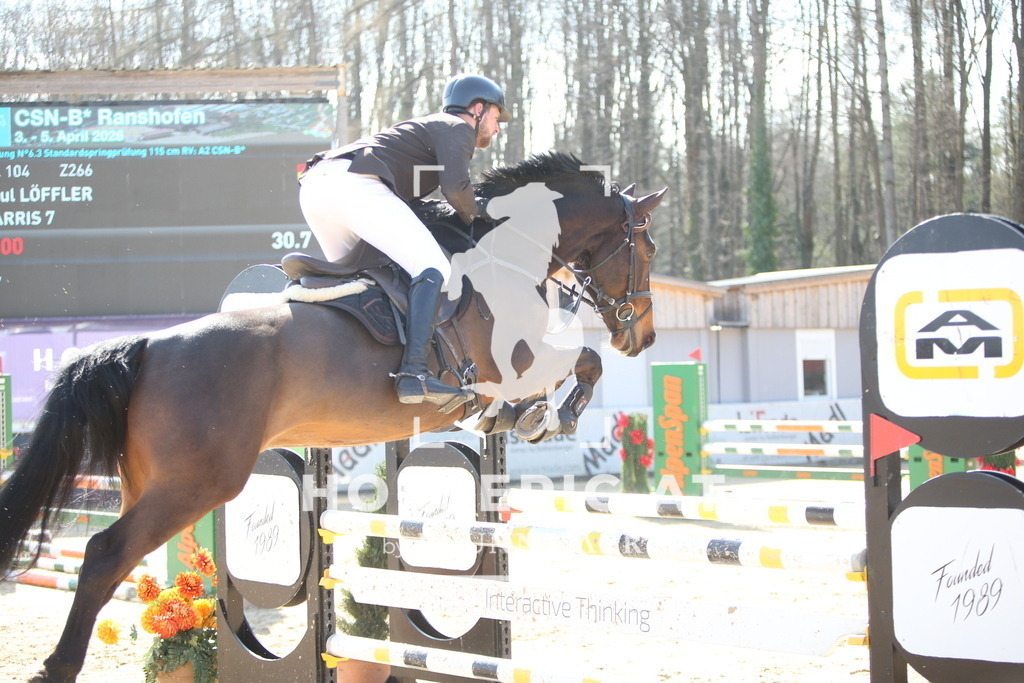 AS8V6077 | Willkommen bei Brunnmayr - Design & Fotografie – Ihrem Spezialisten für Reitturniere und Pferdeveranstaltungen in Oberösterreich, Salzburg und Bayern! Seit über 17 Jahren sind wir leidenschaftlich dabei.