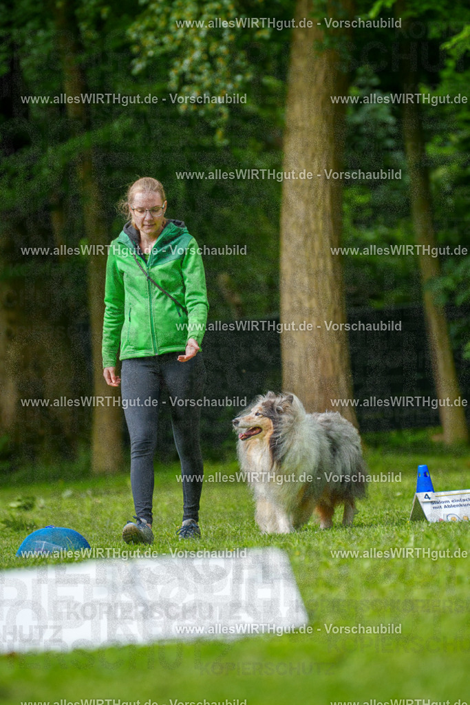 @allesWIRTHgut_Tierfotografie - www.allesWIRTHgut.de - 083353-7R506345 | Professionelle Tierfotografie in Mönchengladbach von Daniel Wirth (allesWIRTHgut). Liebevolle & natürliche Bilder von Hunden & Katzen für unvergessliche Erinnerungen.