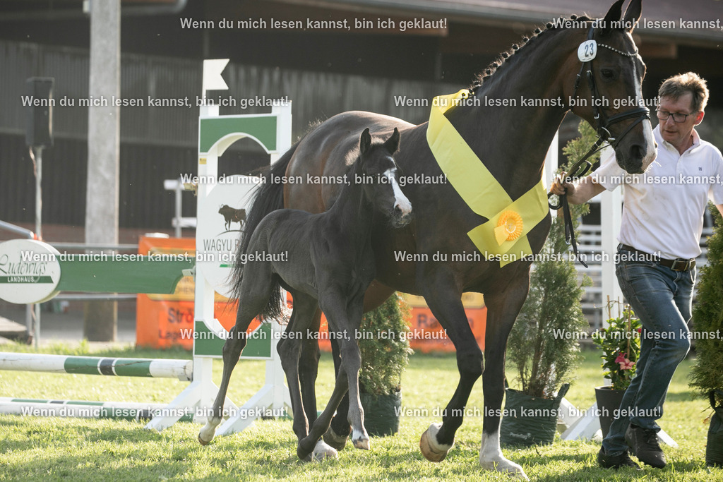 598A7545 | photographylinaismer - Realisiert mit Pictrs.com
