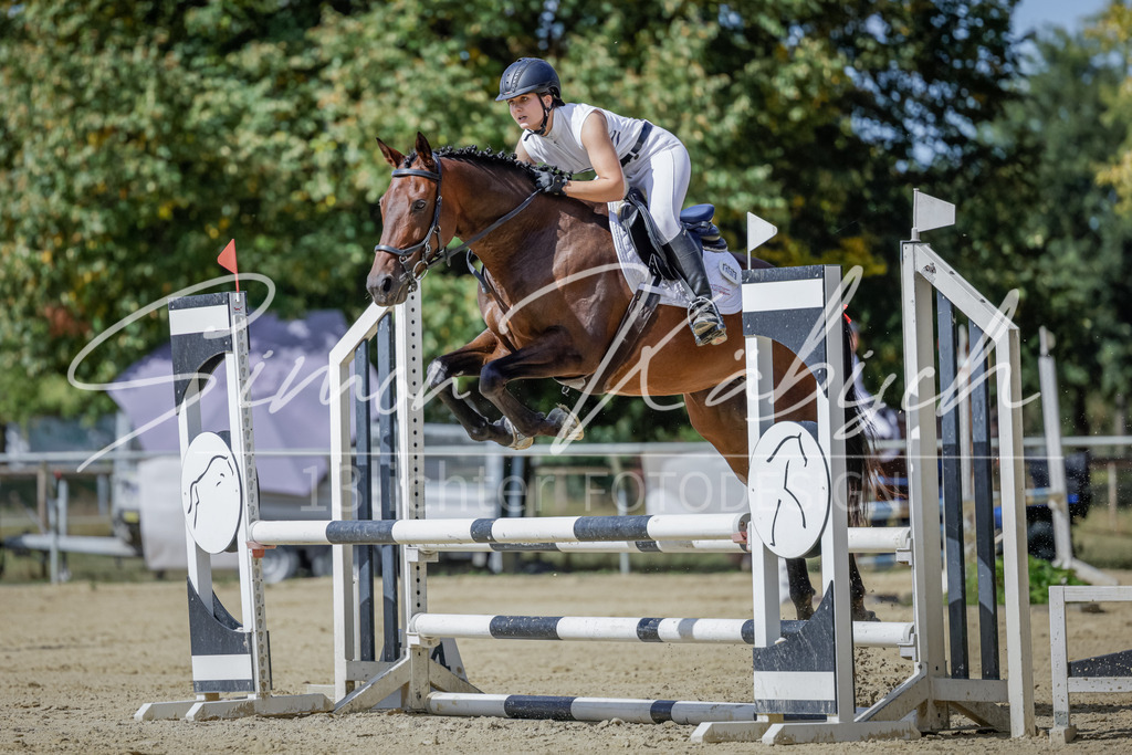 20250906-_3LI6008 | Tierfotografie Pferde, Hunde, Katzen, Haustiere.
Turnierfotografie Reitturniere, Reiten, Springreiten, Dressur in Hanau, dem Main-Kinzig-Kreis und dem Rhein-Main- Gebiet um Frankfurt