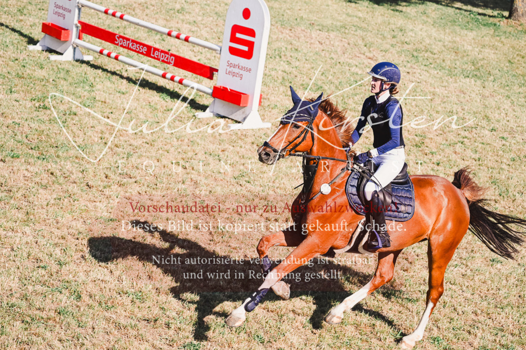 DSC_2321 | Pferde- und Turnierfotografie in Westsachsen. Pferdeportraits, Auftragszeichnungen und intuitive Kunst.