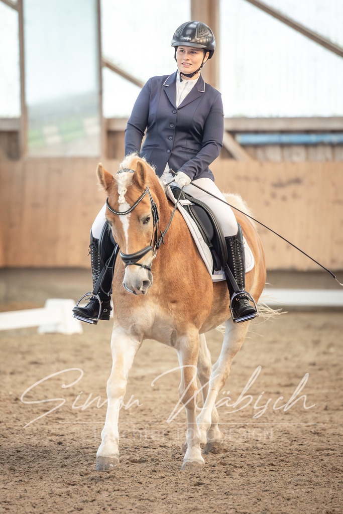 20251011-_3LI6510 | Tierfotografie Pferde, Hunde, Katzen, Haustiere.
Turnierfotografie Reitturniere, Reiten, Springreiten, Dressur in Hanau, dem Main-Kinzig-Kreis und dem Rhein-Main- Gebiet um Frankfurt