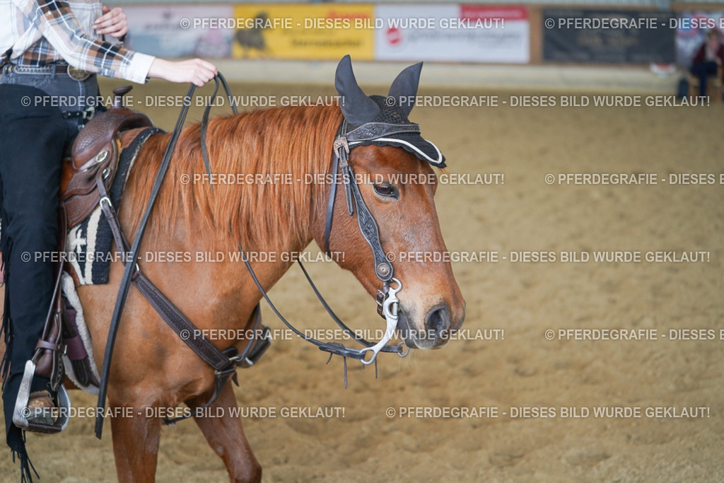 DSC00110 | Pferdegrafie