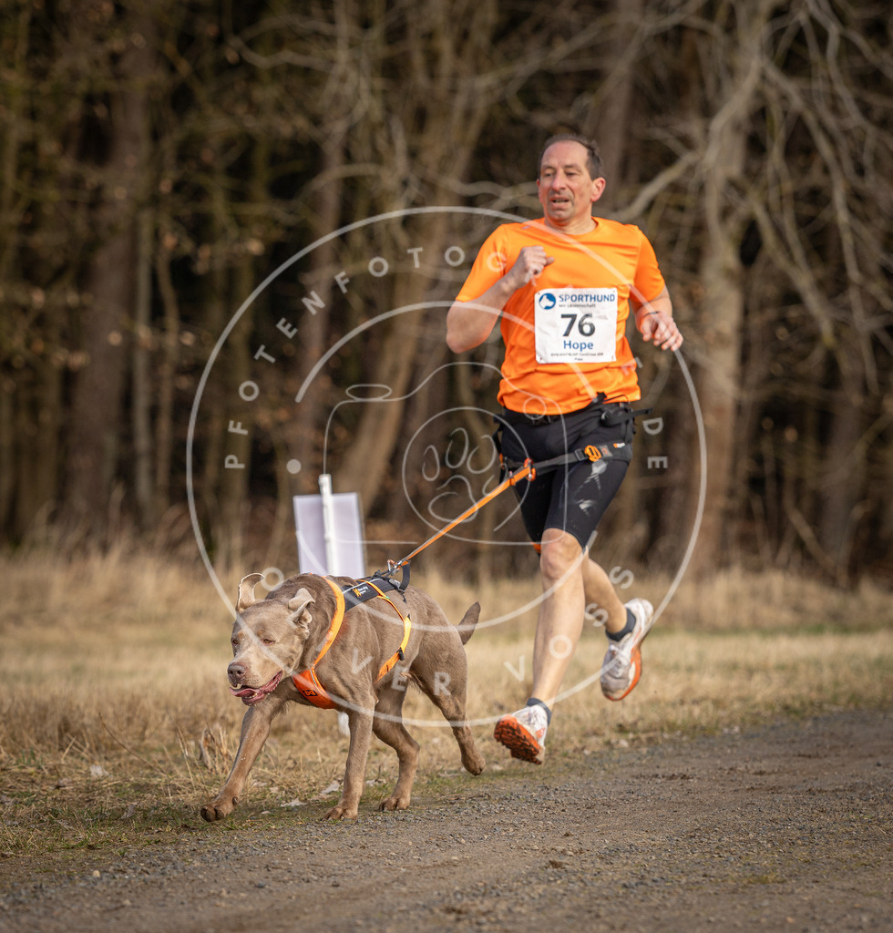 DV3A3785 | Hundefotografie, Tierfotograf, Pfotenfotografie, Fotoshooting Hund, Hunde Portrait, Hundesport, Hundeportraits, Heideshooting, Hunde, Sportfotograf, Hundefotograf, Turnierhundsport, THS,  - Realisiert mit Pictrs.com