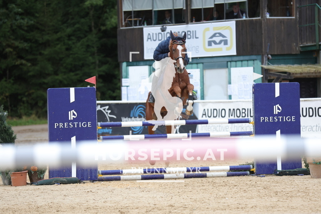 0P6A7116 | Willkommen bei Brunnmayr - Design & Fotografie – Ihrem Spezialisten für Reitturniere und Pferdeveranstaltungen in Oberösterreich, Salzburg und Bayern! Seit über 17 Jahren sind wir leidenschaftlich dabei.