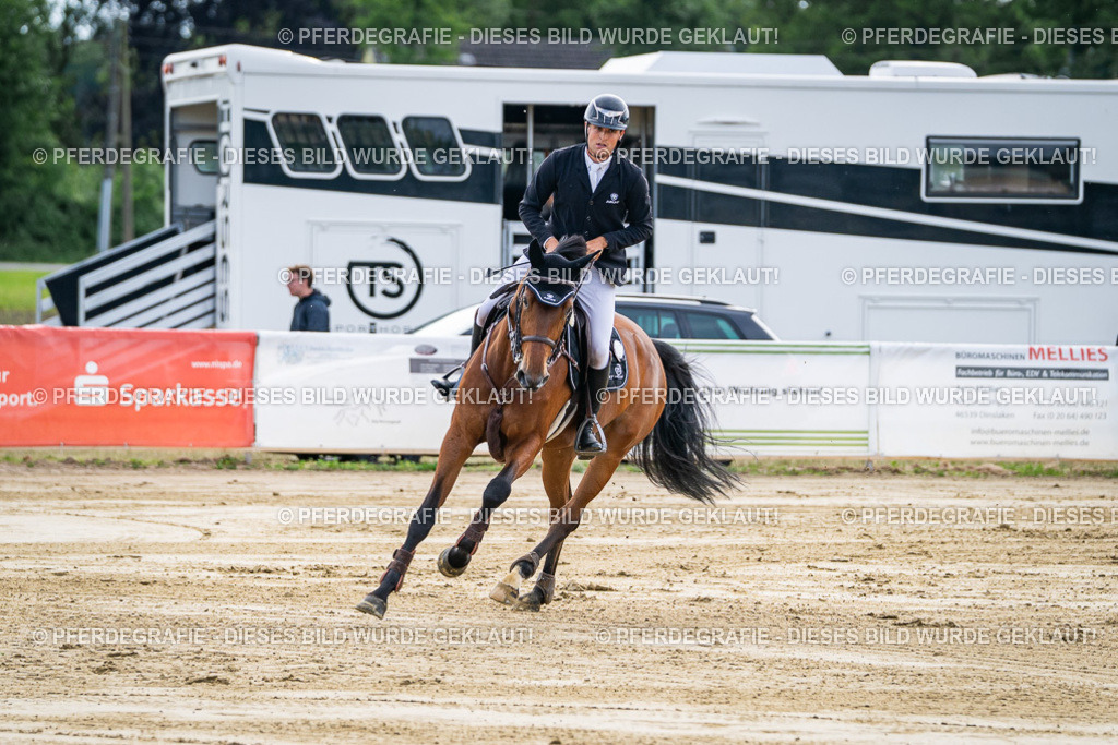 DSC07402 | Pferdegrafie