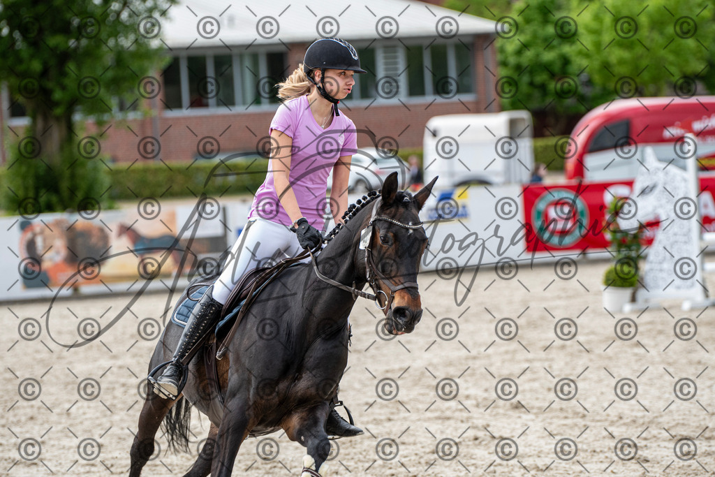 KPT_6943 | andre_photographic