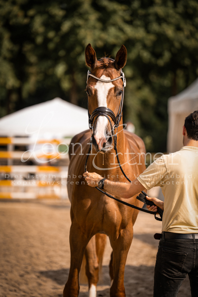 FrER00118 | Leoni Ertmer Photography - Realisiert mit Pictrs.com