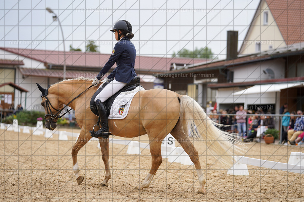 20240825-FAH09927 | Turnierbilder, Reitsportfotos, LAPO, Landesponyturnier, Turnierfotografen Bayern