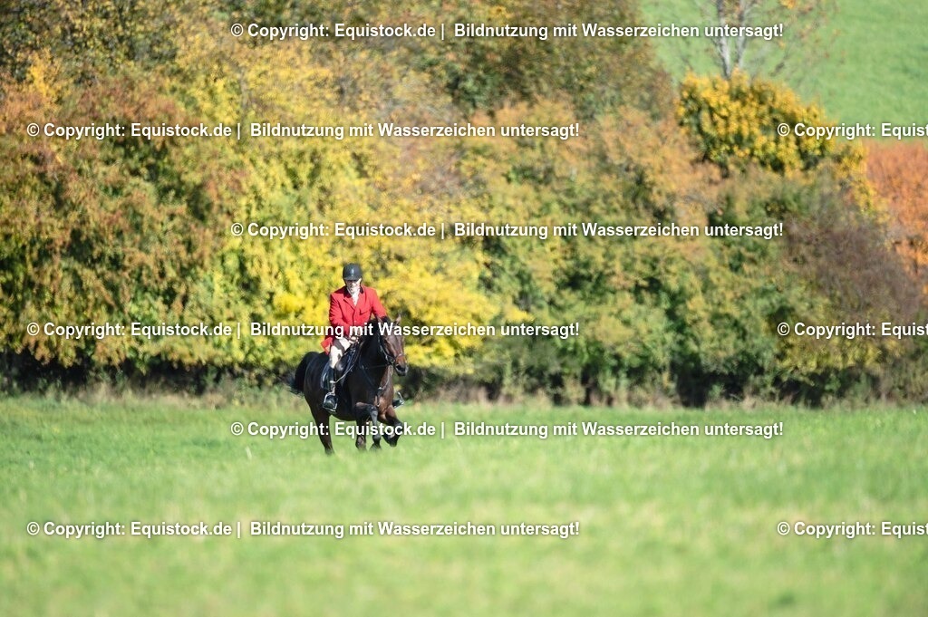 20251011_Jagd-Marbach_0402 | Foto: Thomas Hartig