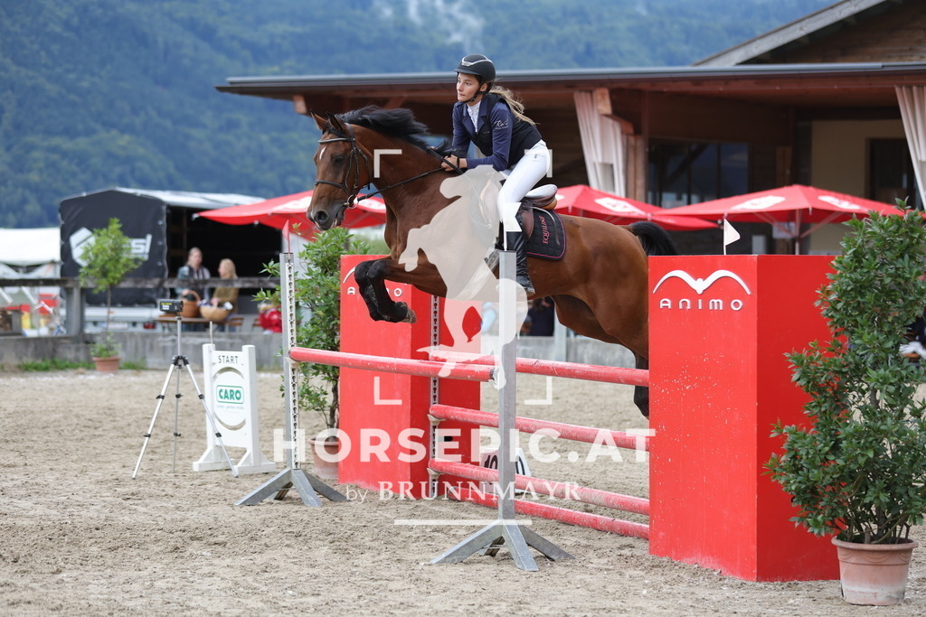 0P6A2628 | Willkommen bei Brunnmayr - Design & Fotografie – Ihrem Spezialisten für Reitturniere und Pferdeveranstaltungen in Oberösterreich, Salzburg und Bayern! Seit über 17 Jahren sind wir leidenschaftlich dabei.