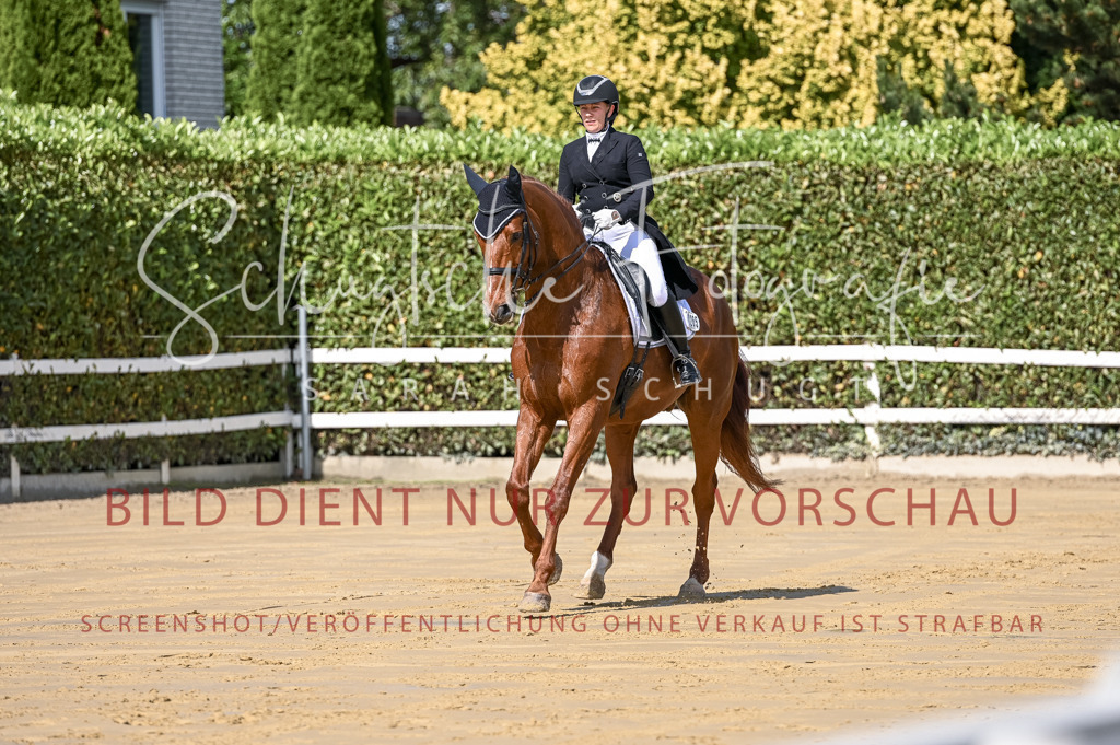 Schugtsche-Aluta25-58. Dressurprf.S1Kand.St.GeorgSpecial-209 | Schugtsche Fotografie - Realisiert mit Pictrs.com
