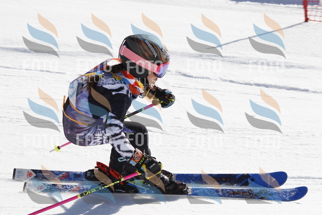 _U3G8741 | holidayphoto