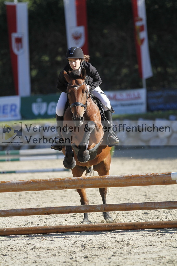 _MG_1278 | equestrian-live-com