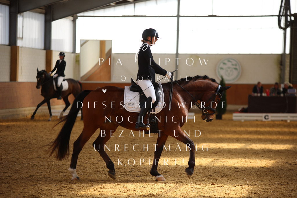 IMGT4359 | pl-fotografie