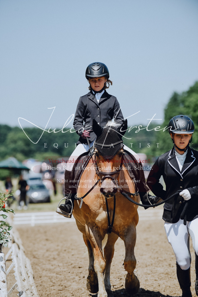 DSC_2189 | Pferde- und Turnierfotografie in Westsachsen. Pferdeportraits, Auftragszeichnungen und intuitive Kunst.