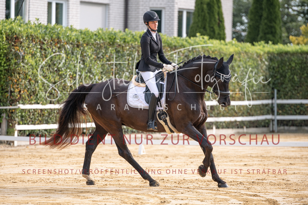 Schugtsche-Aluta25-40.DressurprfA_-57 | Schugtsche Fotografie - Realisiert mit Pictrs.com