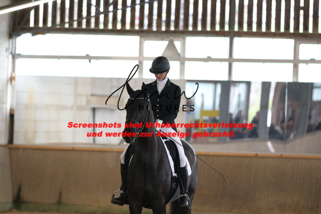 IMG_7558 | lmwpictures - Realisiert mit Pictrs.com