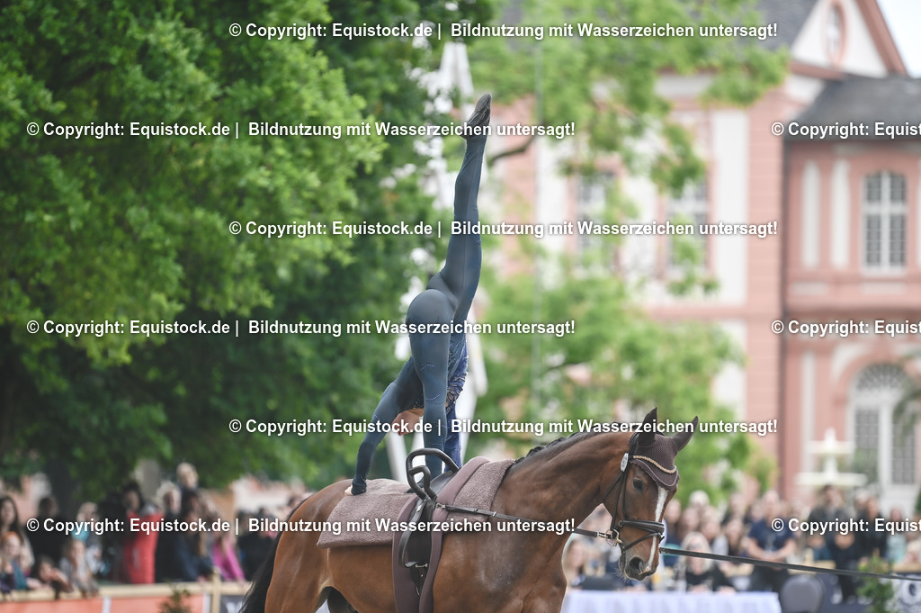 20240519_Voltige_0141 | Foto: Thomas Hartig