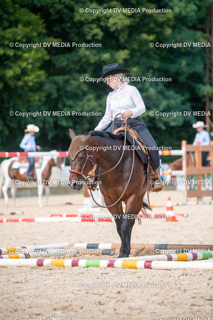 EWP_6830 | dv-media-shop - Realisiert mit Pictrs.com