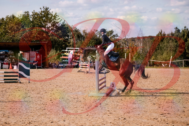 2026_10_03_Siefer-Hof_154126_Z81_57929858 | Professionelle Reitsport-, Turnier- und Eventfotografie von Robert Broda. Galerien mit ausgewählten und bearbeiteten Bildern direkt online ansehen und bestellen.