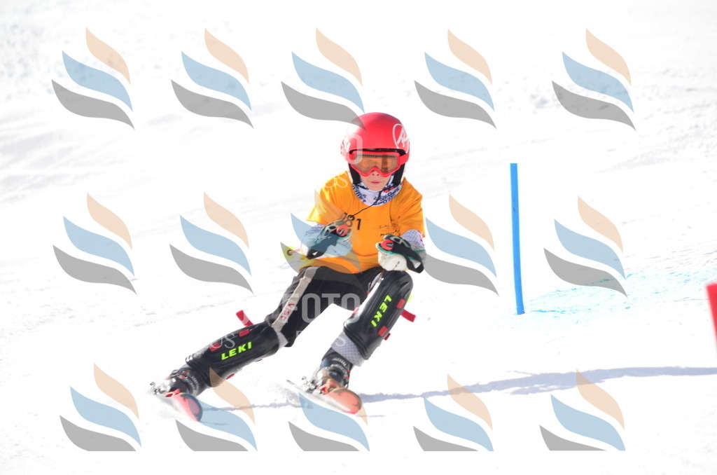 C7995 | holidayphoto