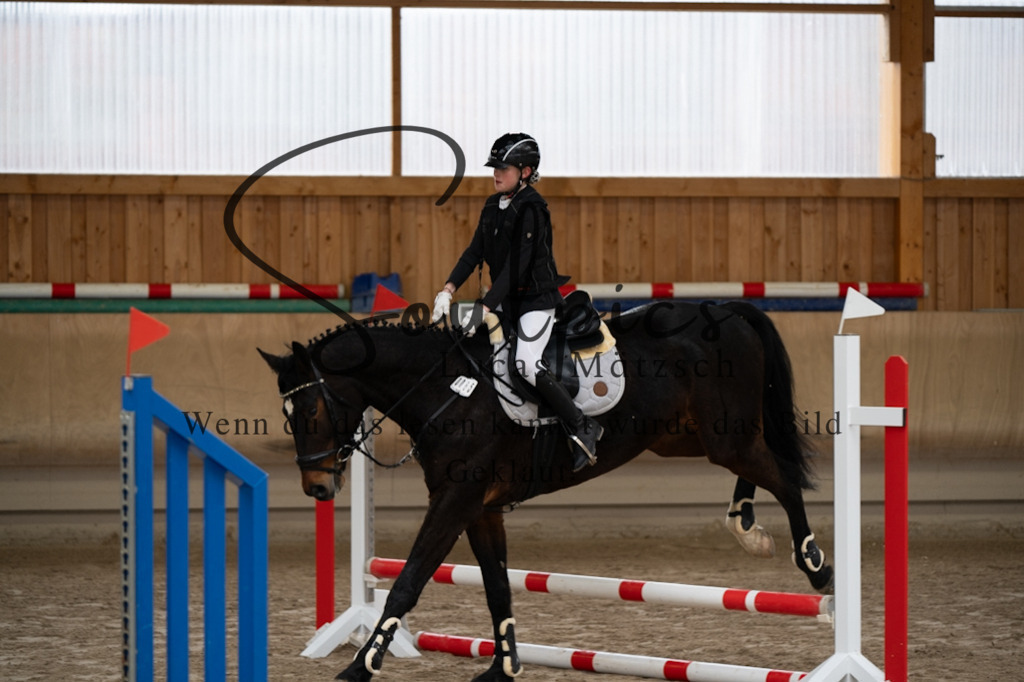 A7V09927 | Pferdefotograf