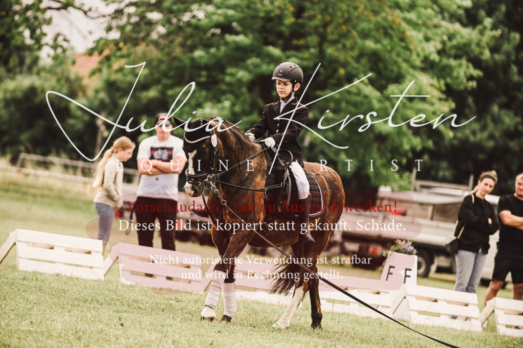 DSC_5340 | Pferde- und Turnierfotografie in Westsachsen. Pferdeportraits, Auftragszeichnungen und intuitive Kunst.