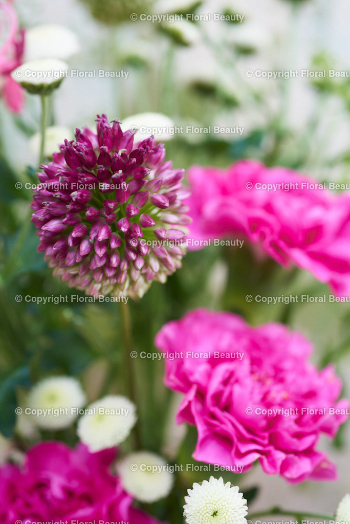 Pinker Blumenstrauß vor grün-weißer Wand | Allium mit Chrysanthemen - Realized with Pictrs.com